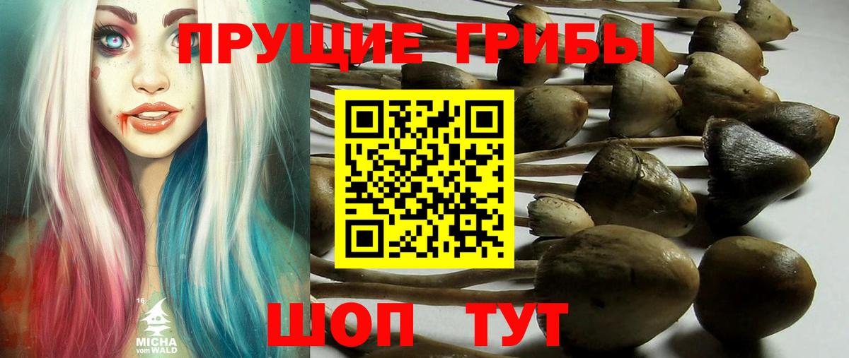 Псилоцибиновые грибы Magic Shrooms  наркота  Холмск  Вход с VPN  Галлюциногенные грибы Psilocybine cubensis 